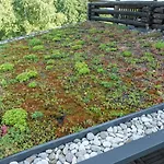 Apartament Zidan'ca Rosel *