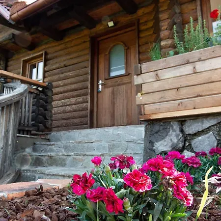 Apartamento Zidan'ca Rošel Dolenjske Toplice