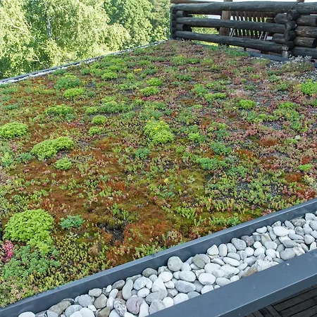 Apartment Zidan'ca Rosel *