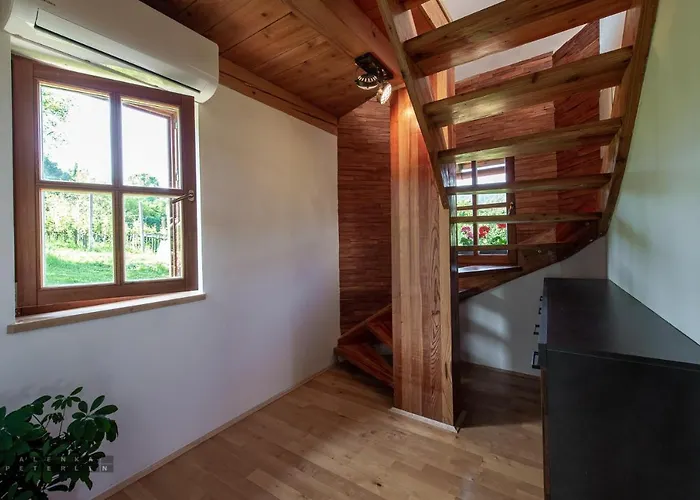 Zidan'ca Rosel דירה דולנז'סקה טופליסה