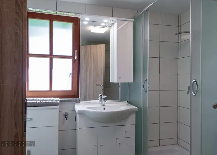 Zidan'ca Rosel דירה דולנז'סקה טופליסה